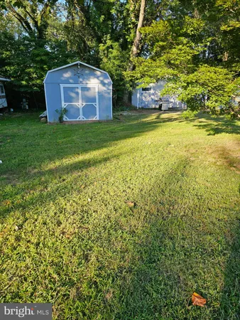 a view of a large yard with large trees and plants
