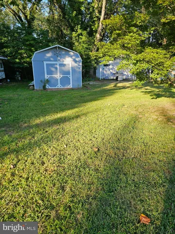 a view of a large yard with large trees and plants