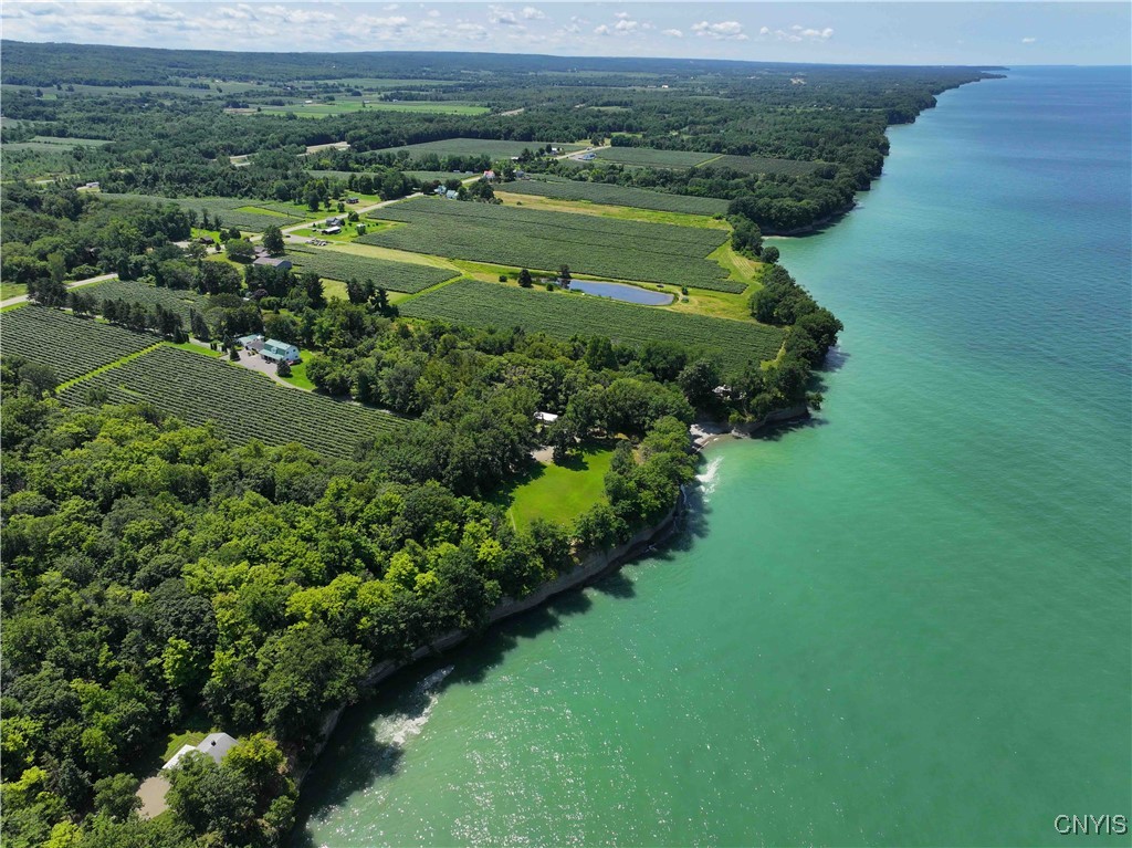 0 Bauers Lane Ripley, NY 14775 - Photo 4 of 11