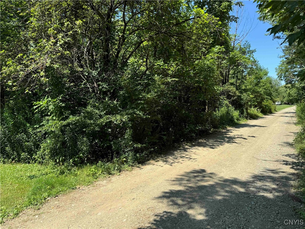 0 Bauers Lane Ripley, NY 14775 - Photo 6 of 11