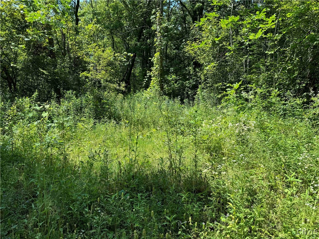 0 Bauers Lane Ripley, NY 14775 - Photo 7 of 11