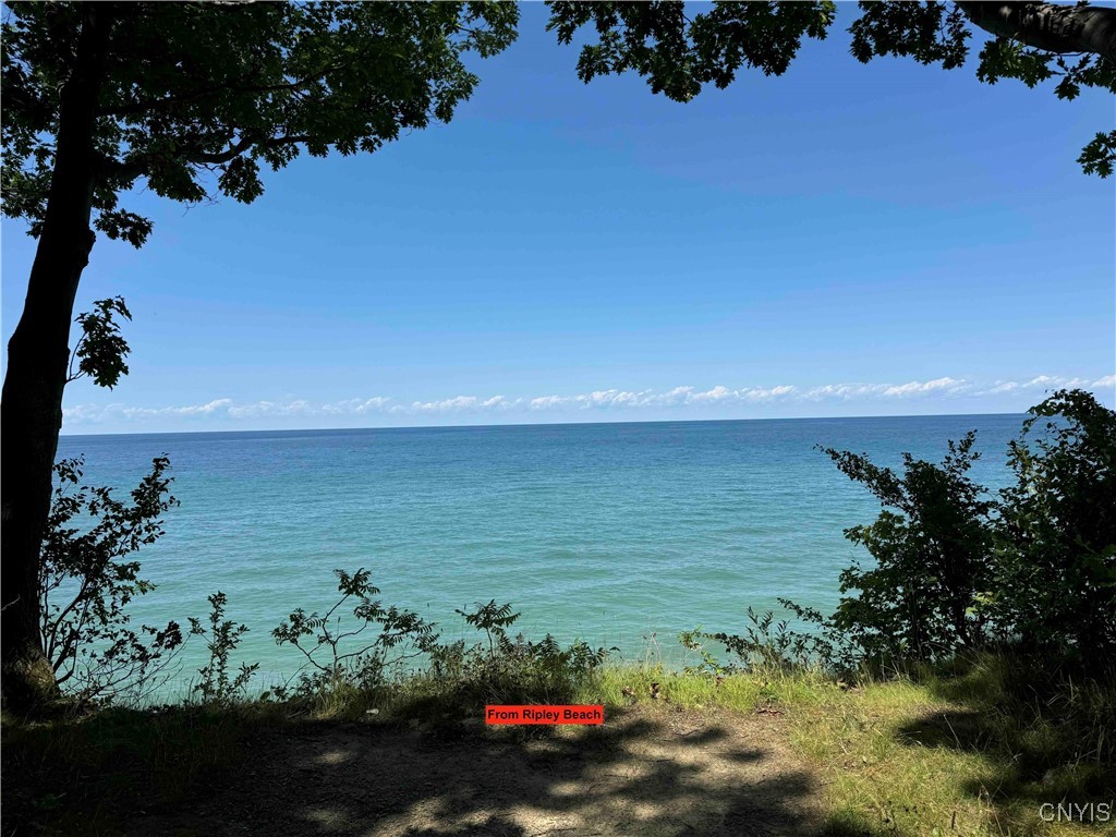 0 Bauers Lane Ripley, NY 14775 - Photo 8 of 11