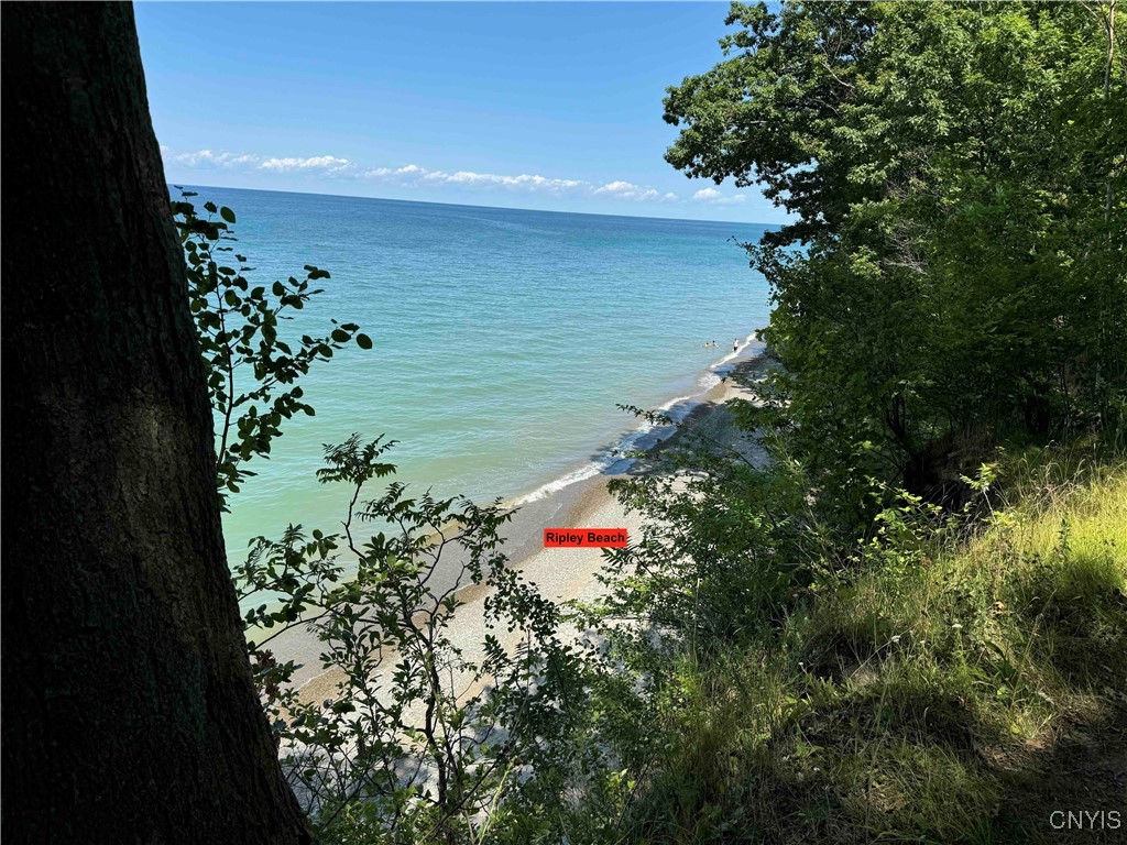 0 Bauers Lane Ripley, NY 14775 - Photo 9 of 11