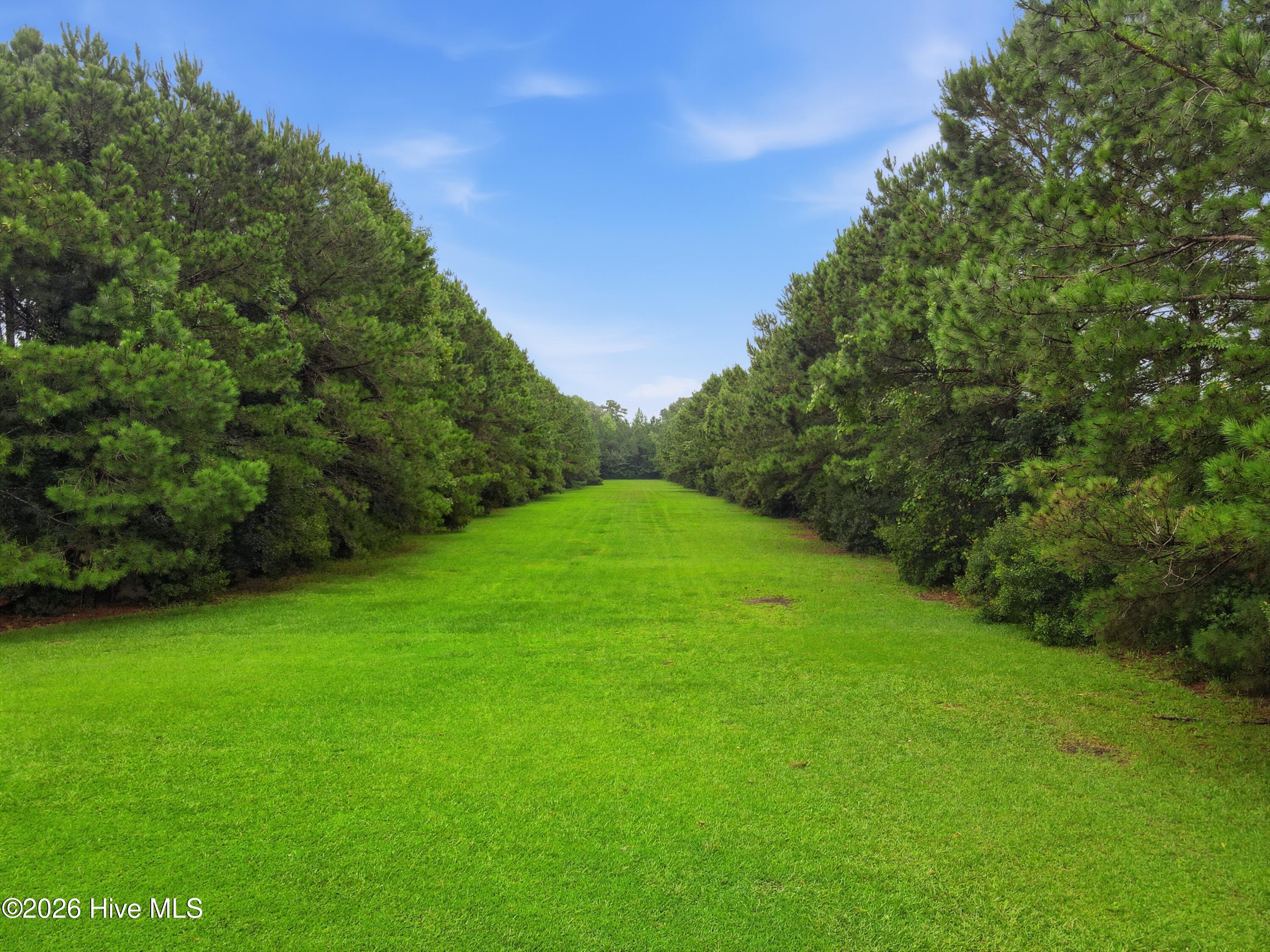 6634 Florence Road Merritt, NC 28556 - Photo 42 of 64 Gallery Image 42