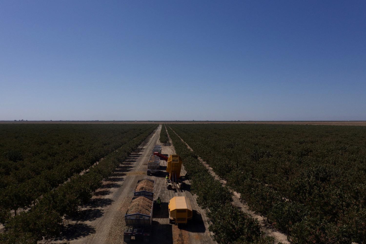 0 Highway 43 Delano, CA 93215 - Photo 4 of 9