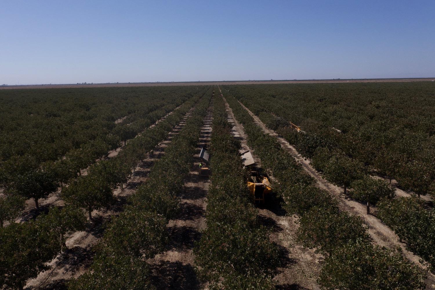 0 Highway 43 Delano, CA 93215 - Photo 5 of 9 a view of city and mountain