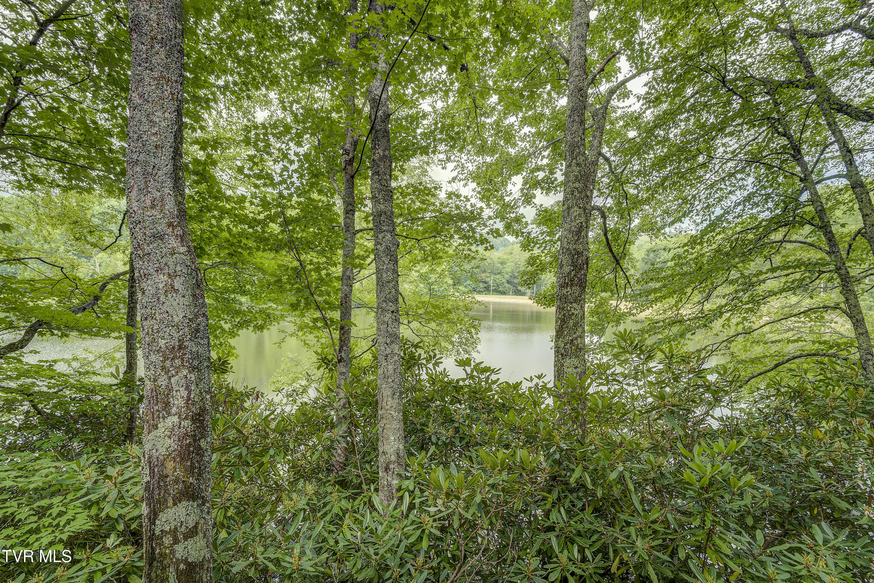 144 Ripshin Lake Road Roan Mountain, TN 37687 - Photo 54 of 76 RipShin-30