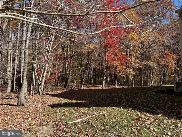 a view of a yard with an tree