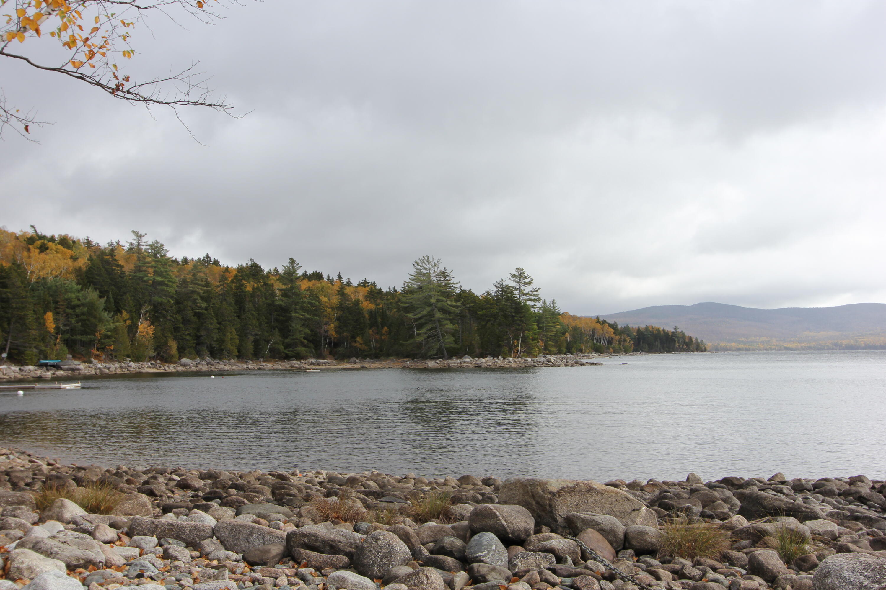 331 Birches Beach Road Oquossoc, ME 04964 - Photo 73 of 94 IMG_7854
