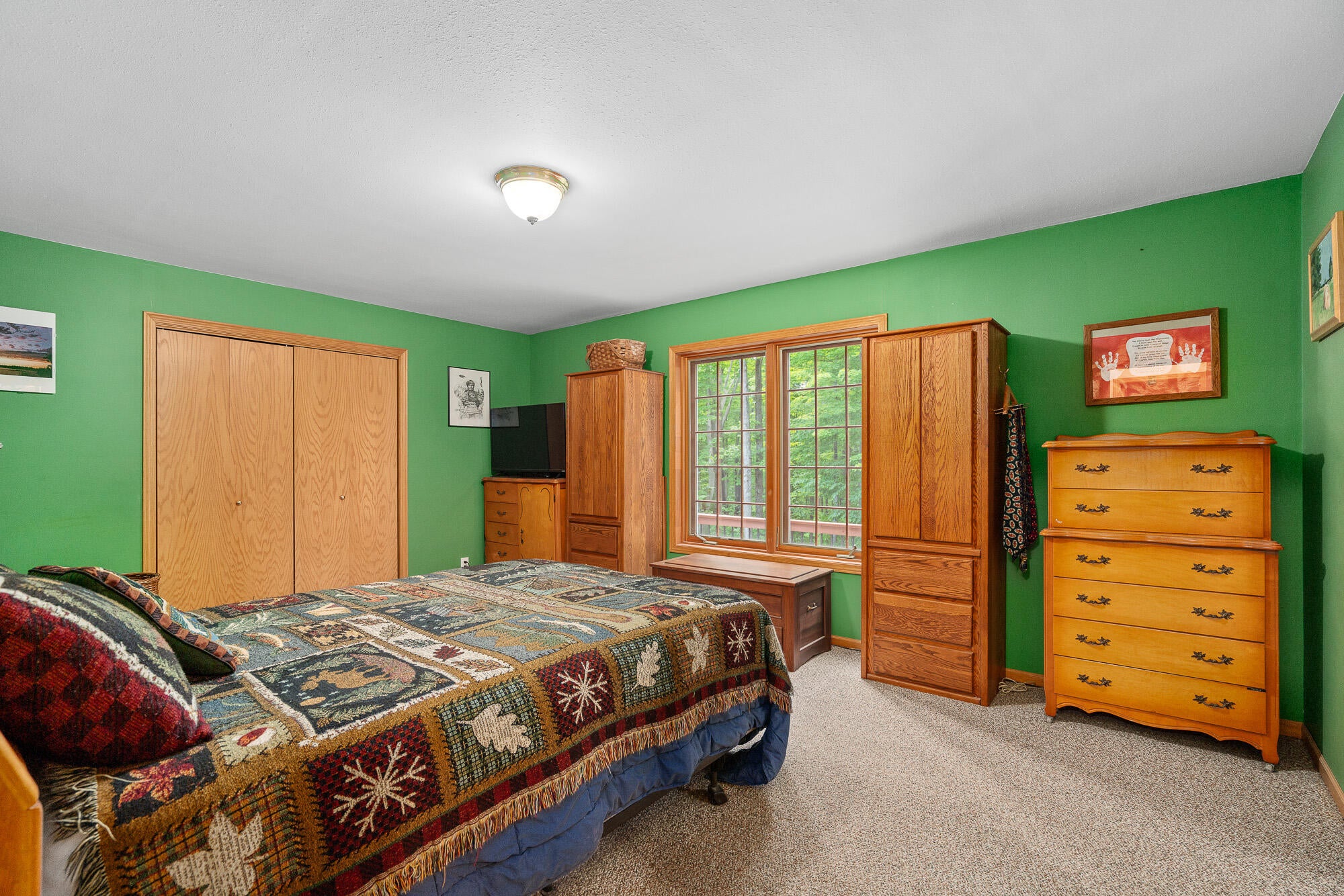 6220 Reams Road Alanson, MI 49706 - Photo 33 of 53 Gallery Image 33