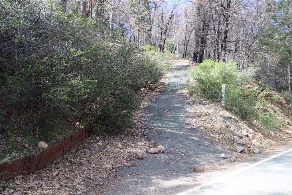 11260 Loch Lomond Road Middletown, CA 95461 - Photo 2 of 9 a big yard with lots of green space