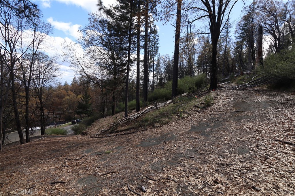 11260 Loch Lomond Road Middletown, CA 95461 - Photo 4 of 9 a view of a forest with trees