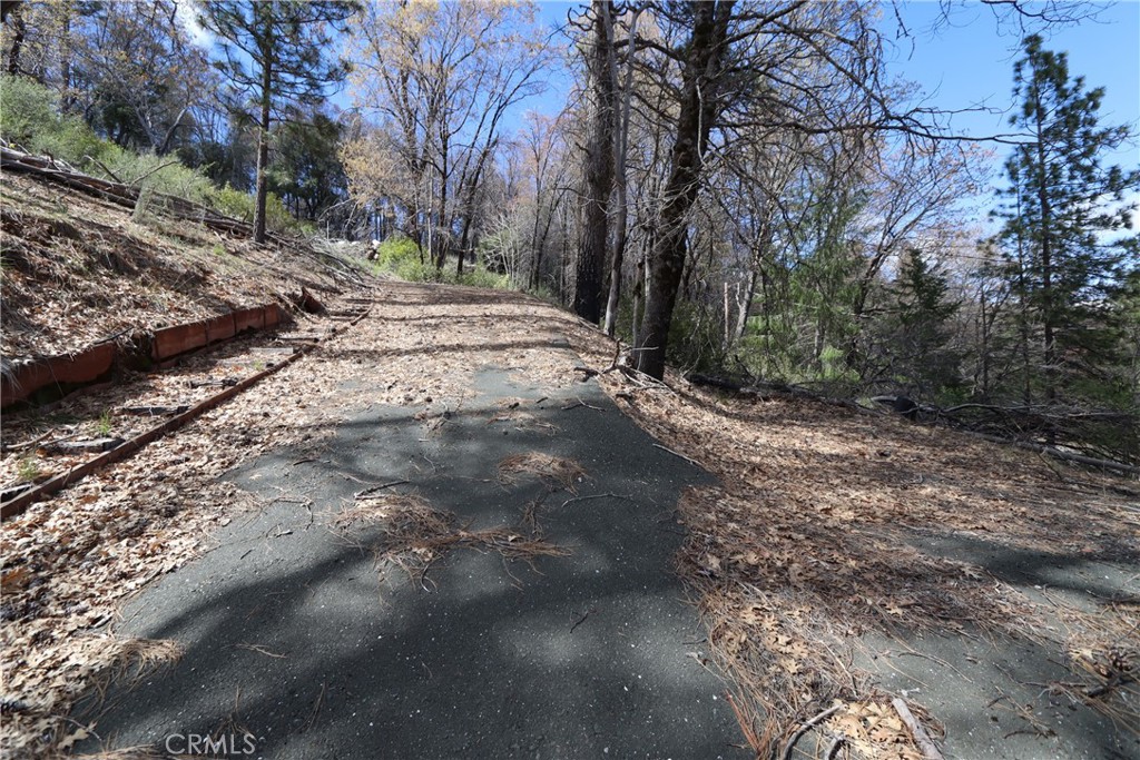11260 Loch Lomond Road Middletown, CA 95461 - Photo 5 of 9 a view of a yard with trees