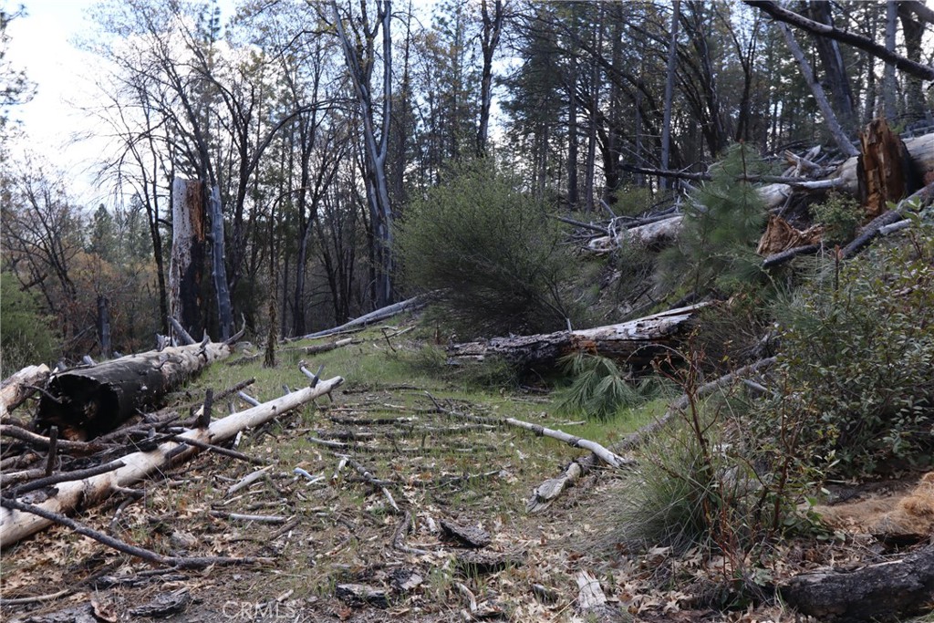 11260 Loch Lomond Road Middletown, CA 95461 - Photo 6 of 9 a backyard of a house with lots of green space