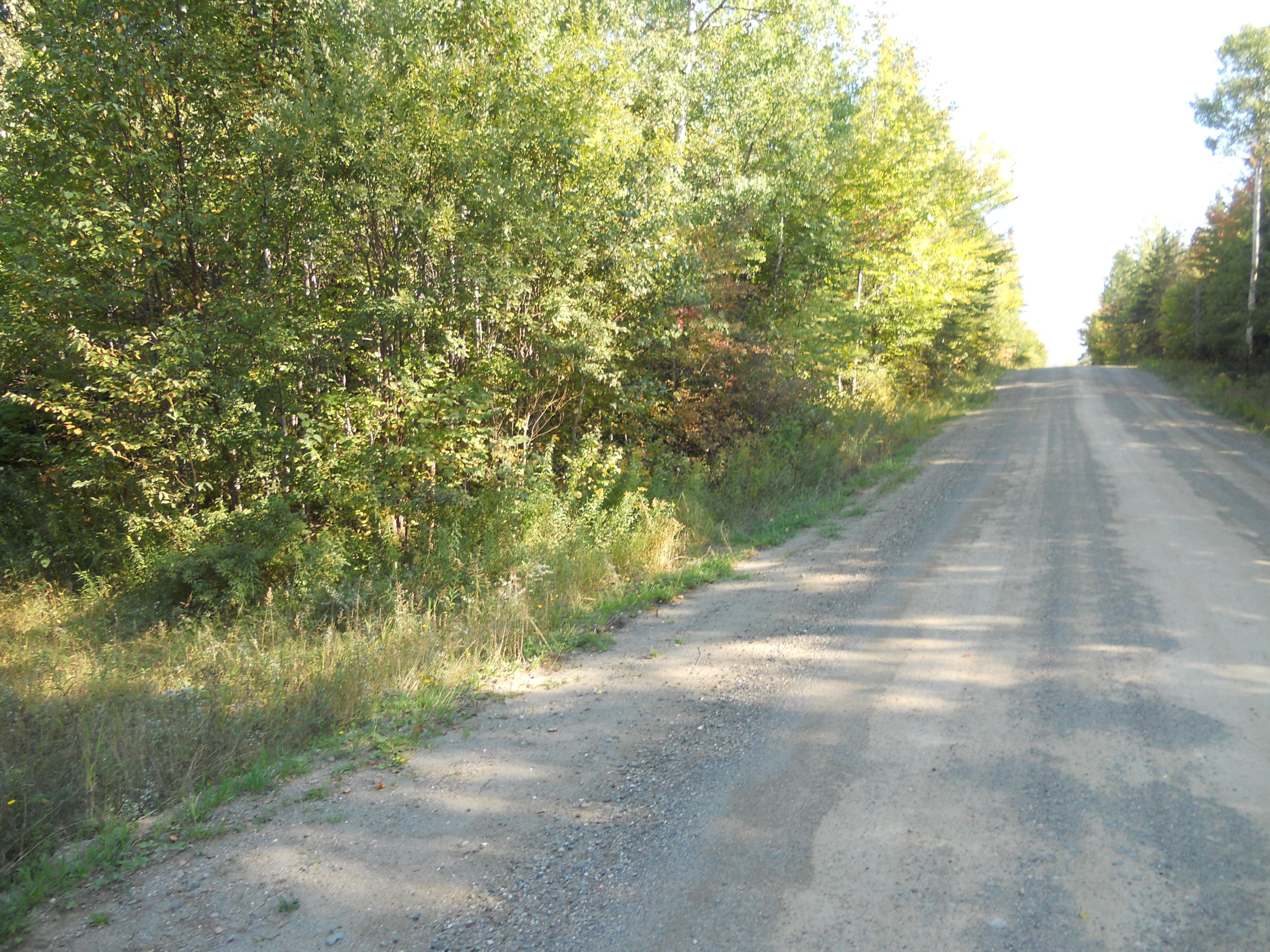 T7 R3 Nbpp Me 04487 Road Springfield, ME 04487 - Photo 10 of 16 DSCN0508