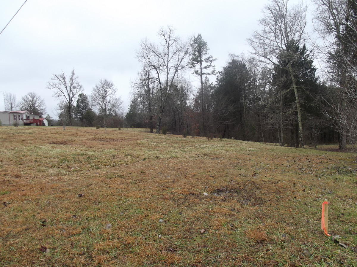 357 Payne Road Tellico Plains, TN 37385 - Photo 30 of 35 30-DSCF2574