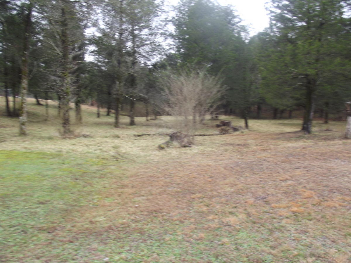 357 Payne Road Tellico Plains, TN 37385 - Photo 32 of 35 32-DSCF2576