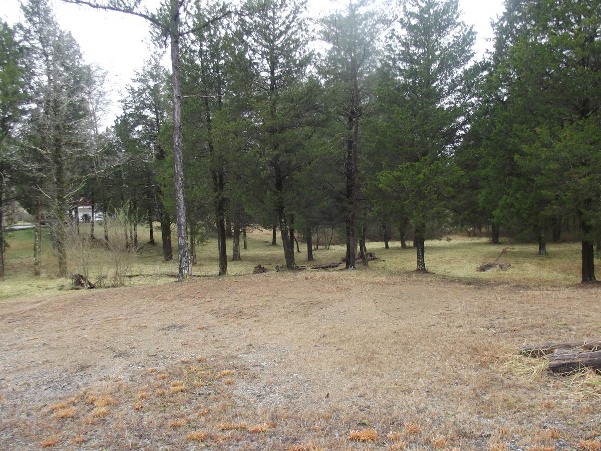 357 Payne Road Tellico Plains, TN 37385 - Photo 33 of 35 33-DSCF2577