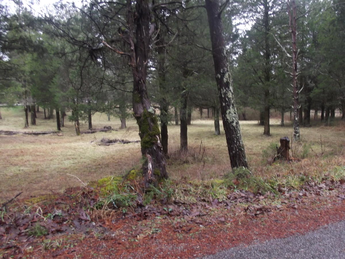 357 Payne Road Tellico Plains, TN 37385 - Photo 35 of 35 35-DSCF2579