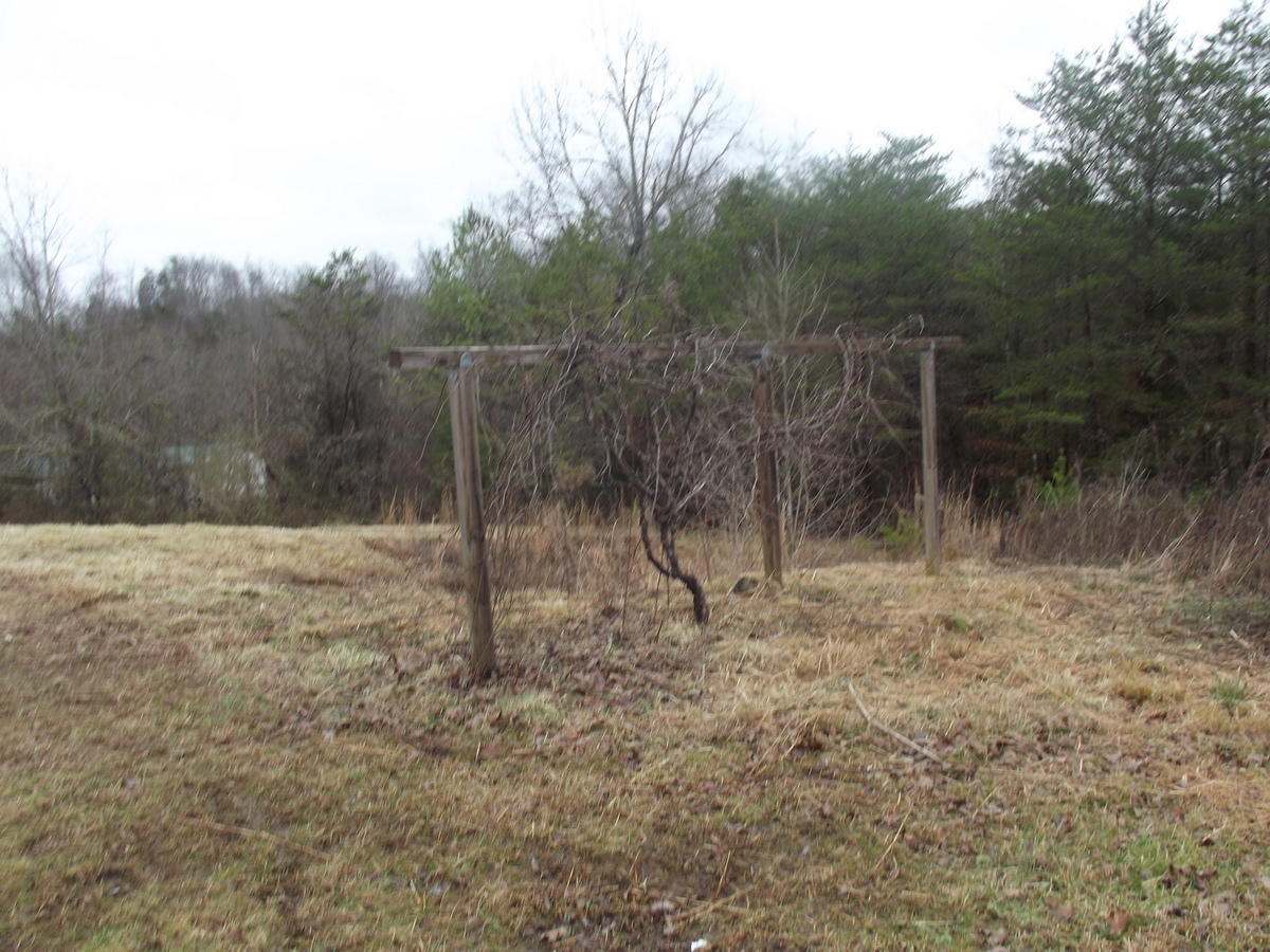 357 Payne Road Tellico Plains, TN 37385 - Photo 10 of 35 10-DSCF2620