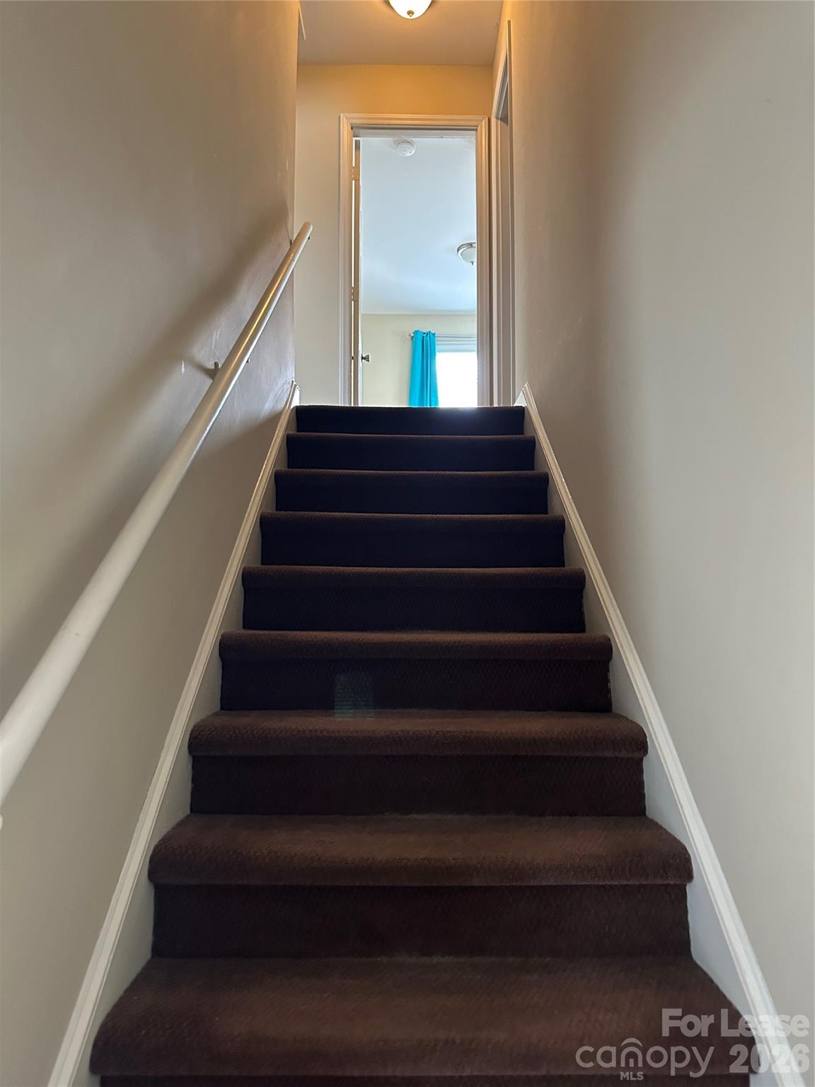 1133 Wimbledon Road Charlotte, NC 28209 - Photo 11 of 16