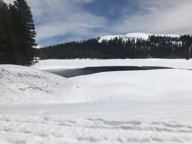 a view of a backyard of the house