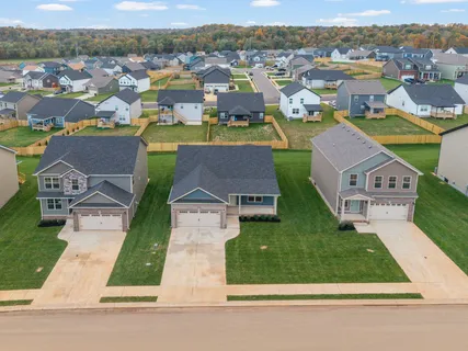 a view of a patio with chairs and a potted plant
