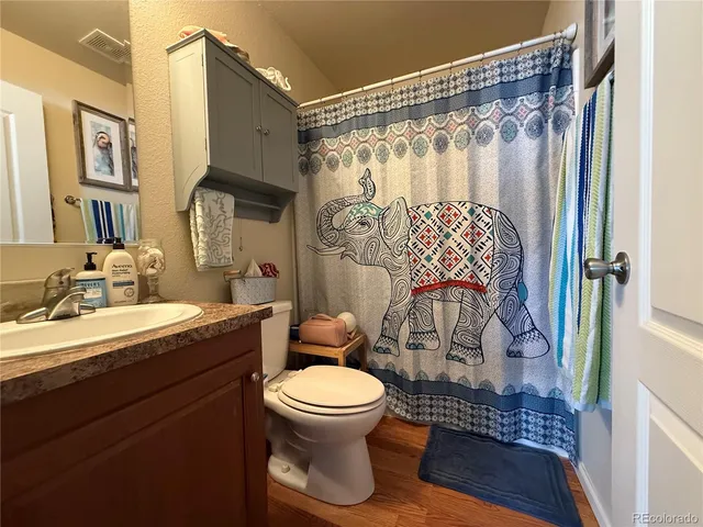 a bathroom with a sink a toilet and shower curtain