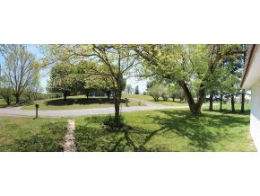 123 Stomper Road Afton, TN 37616 - Photo 3 of 8 Photo 3