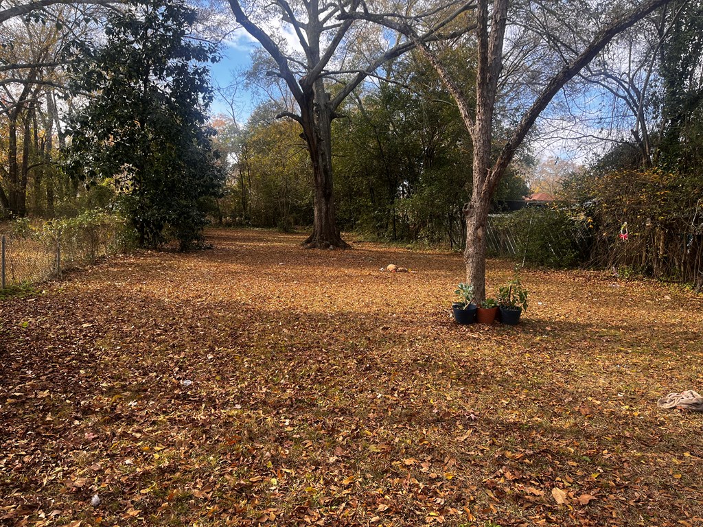1081 Benner Avenue Columbus, GA 31906 - Photo 4 of 4 a view of a yard with a tree