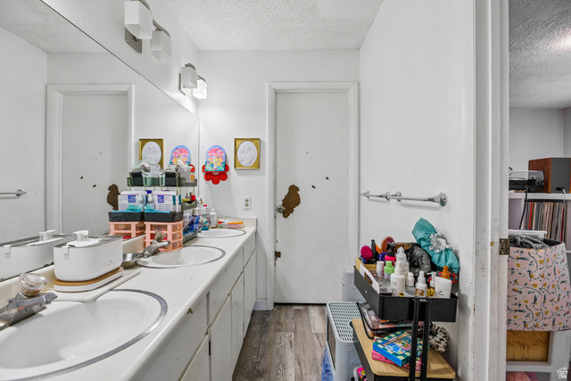 768 300 North Provo, UT 84606 - Photo 10 of 51 Dual vanity with individual sinks, expansive wall-mounted mirror, overhead vanity lighting, wood-finish flooring, and white cabinetry