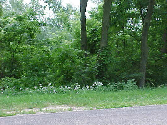 15415 South Bluff Road South Beloit, IL 61080 - Photo 1 of 1 Gallery Image 1