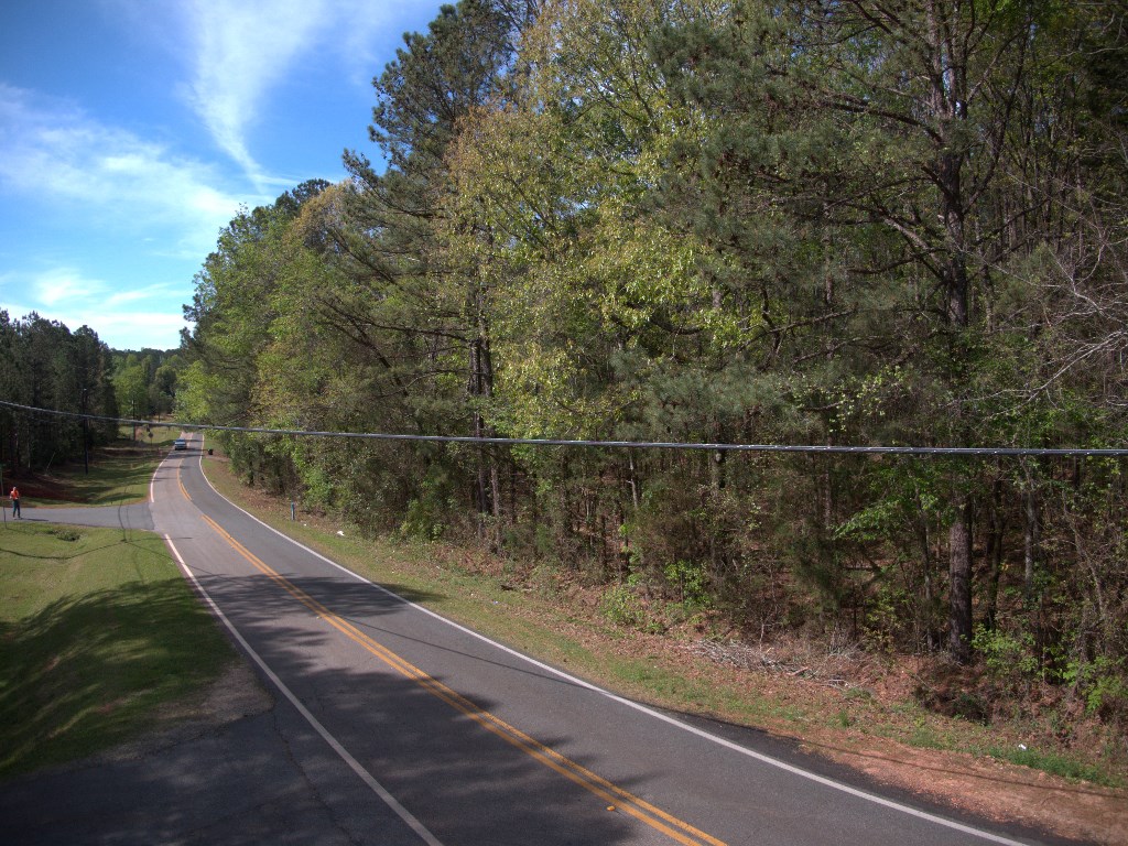 Lot 10 Chestnut Grove Road Shiloh, GA 31826 - Photo 15 of 17 Gallery Image 15