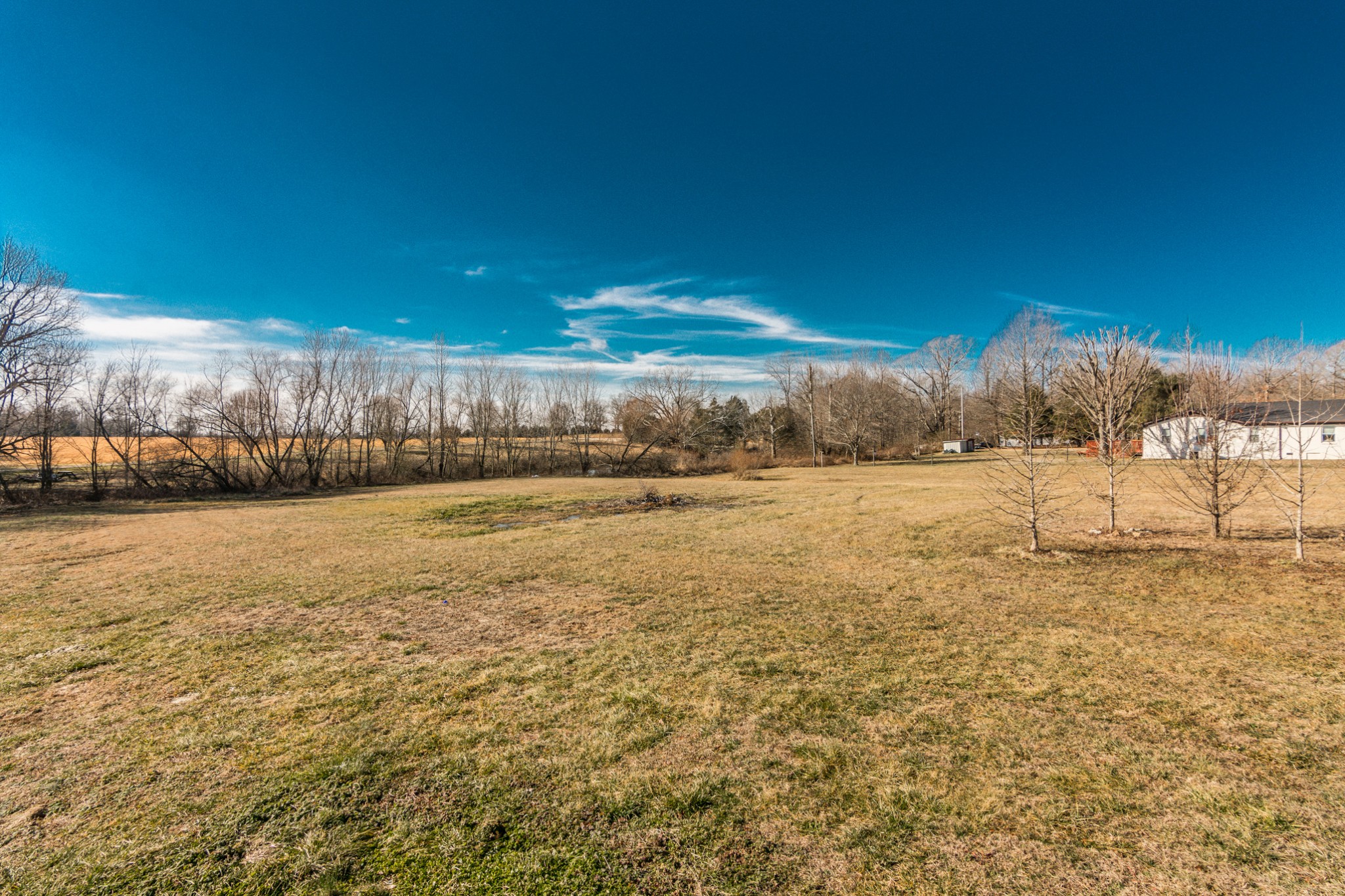 361 Corinth Road Portland, TN 37148 - Photo 40 of 46 a view of a yard with an trees