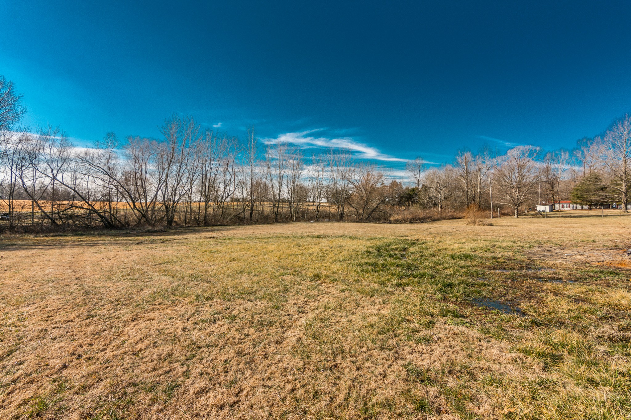 361 Corinth Road Portland, TN 37148 - Photo 45 of 46 a view of a field with ocean view