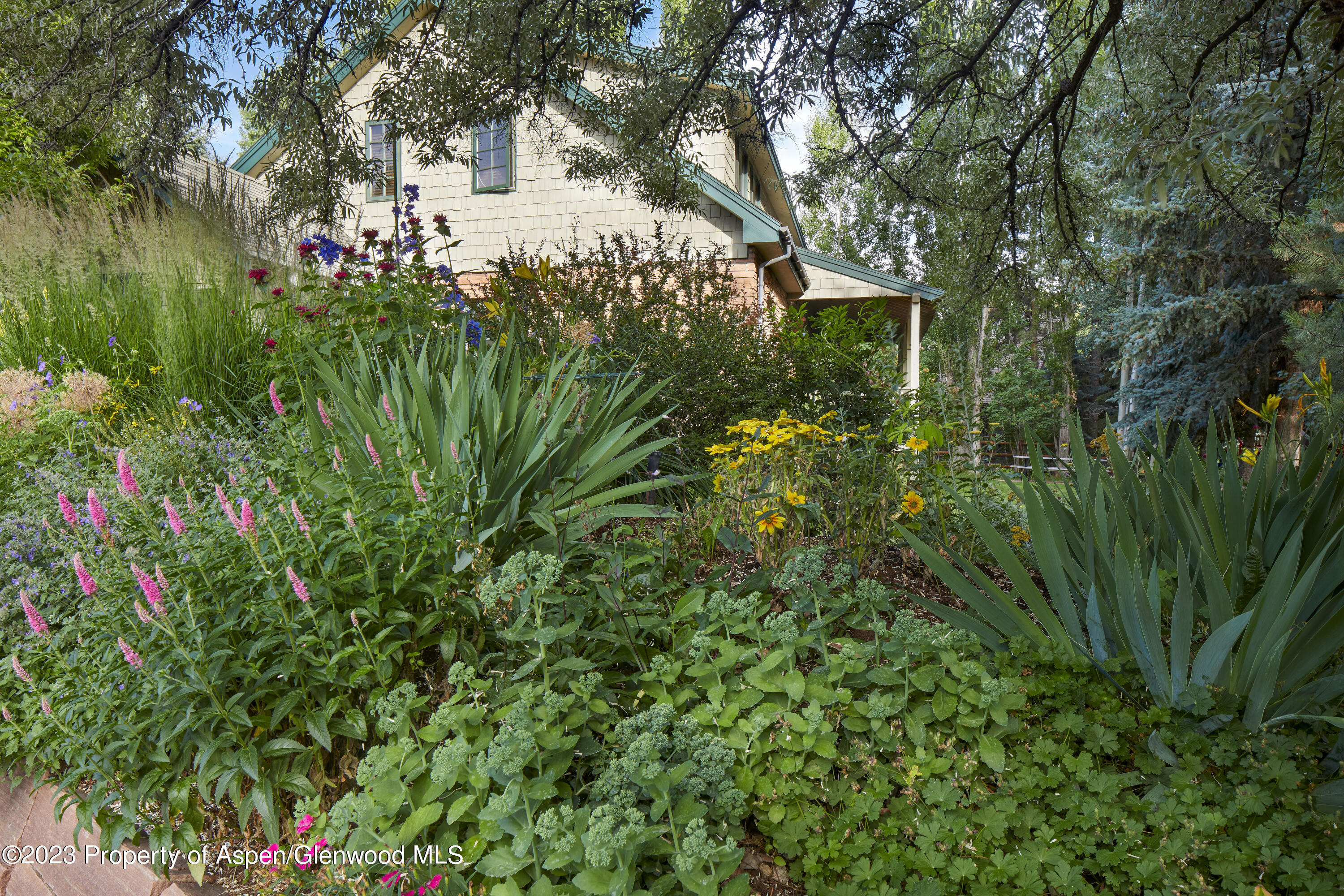 135 Riverside Drive Basalt, CO 81621 - Photo 18 of 18 a view of a flower in a garden