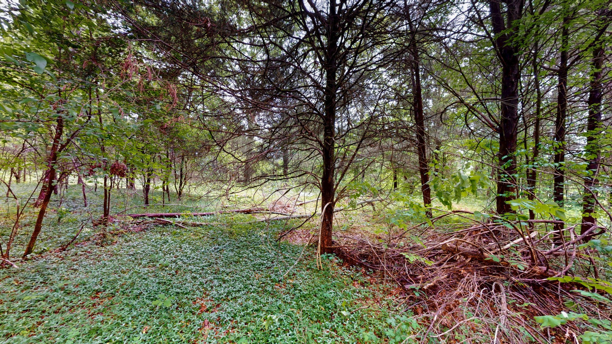 0 Rally Hill Road Columbia, TN 38401 - Photo 12 of 29 Gallery Image 12