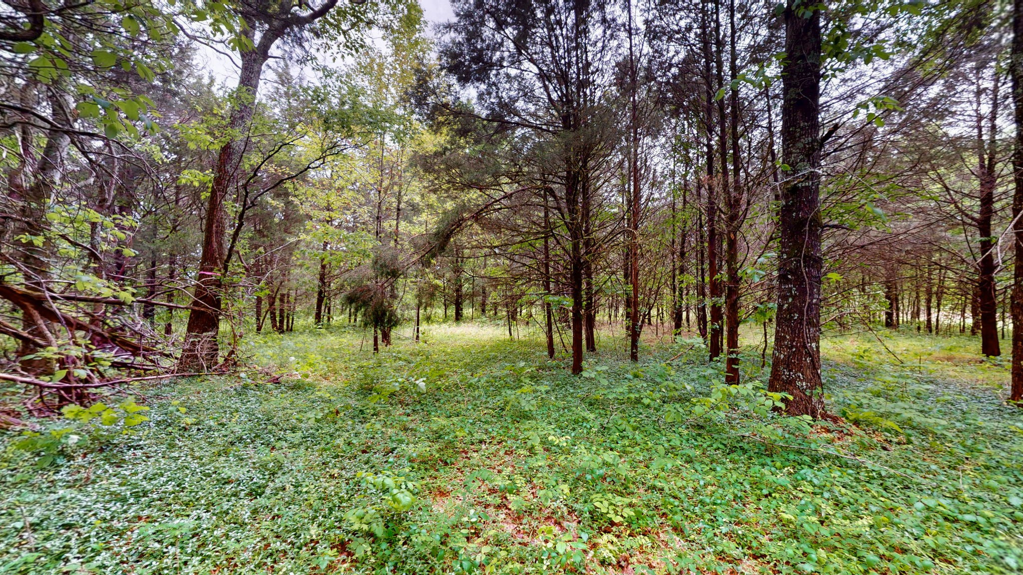 0 Rally Hill Road Columbia, TN 38401 - Photo 13 of 29 Gallery Image 13