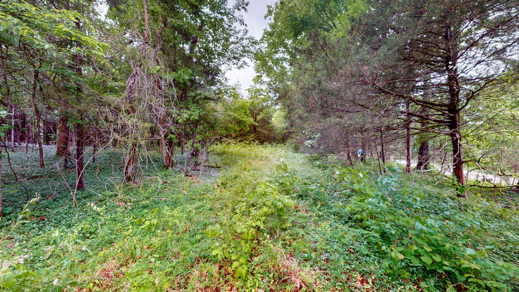 0 Rally Hill Road Columbia, TN 38401 - Photo 18 of 29 Gallery Image 18