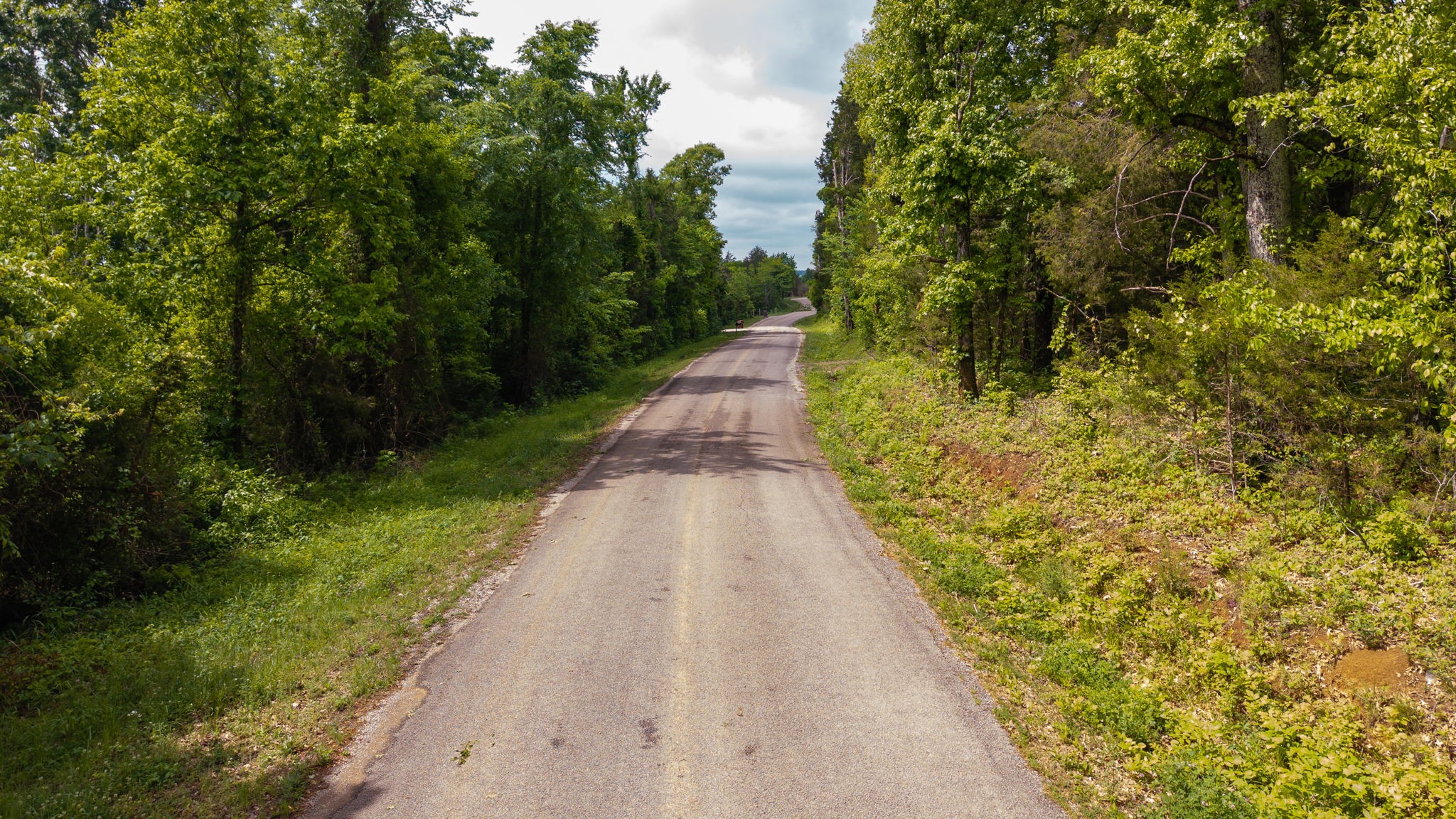 0 Rally Hill Road Columbia, TN 38401 - Photo 4 of 29 Gallery Image 4