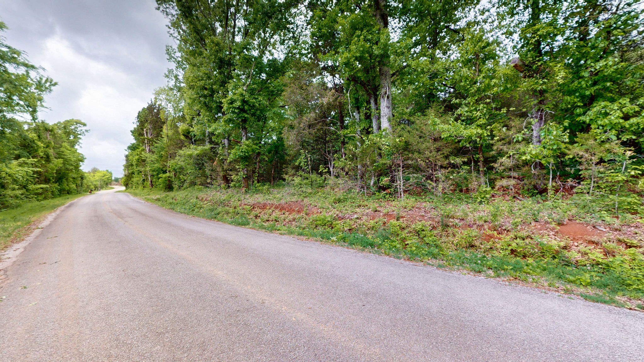 0 Rally Hill Road Columbia, TN 38401 - Photo 5 of 29 Gallery Image 5