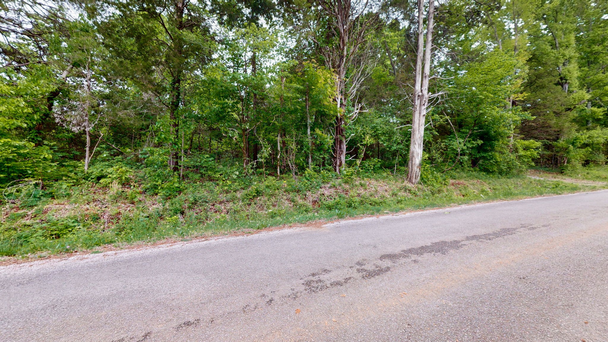 0 Rally Hill Road Columbia, TN 38401 - Photo 9 of 29 Gallery Image 9