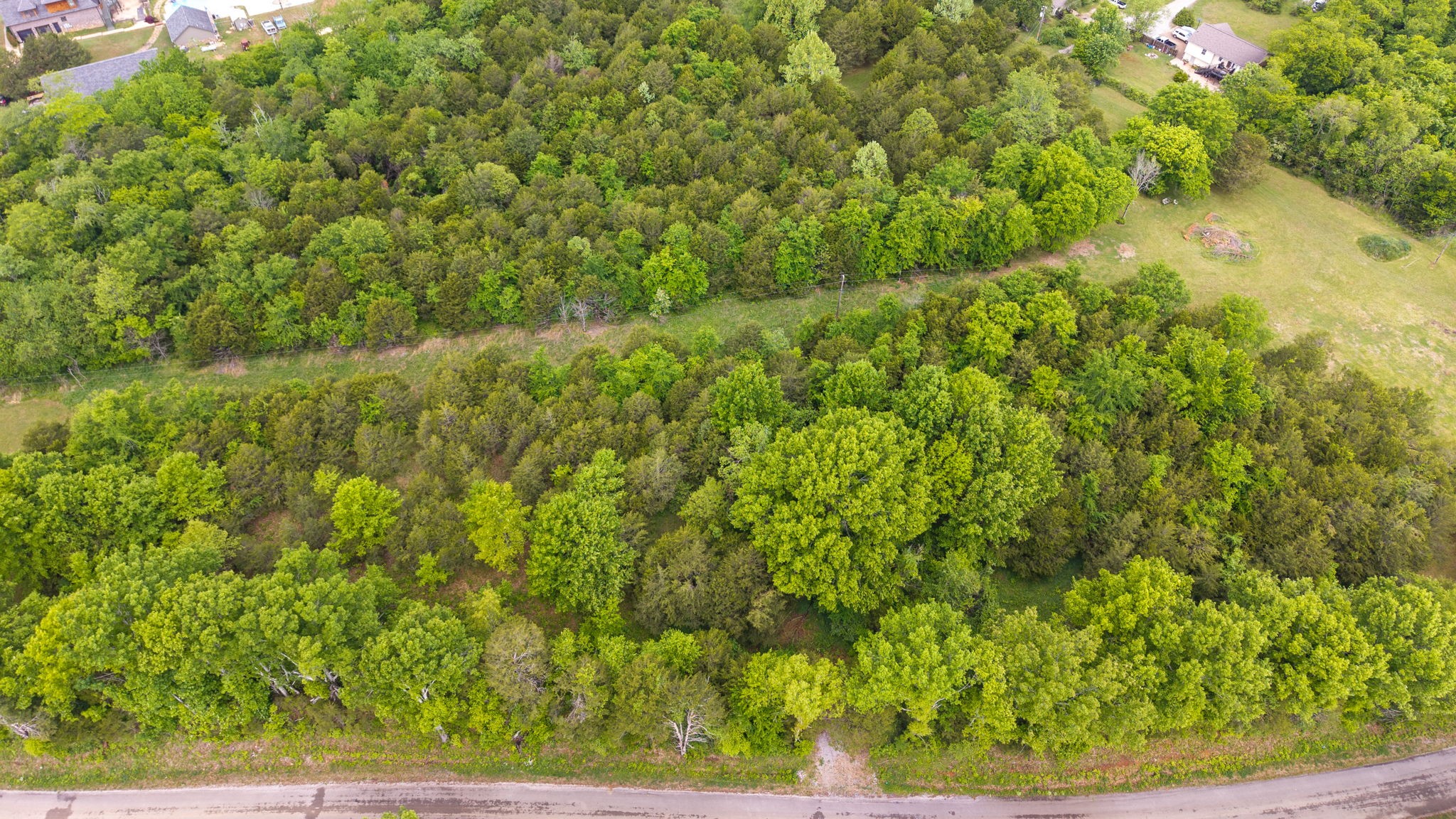 0 Rally Hill Road Columbia, TN 38401 - Photo 10 of 29 Gallery Image 10
