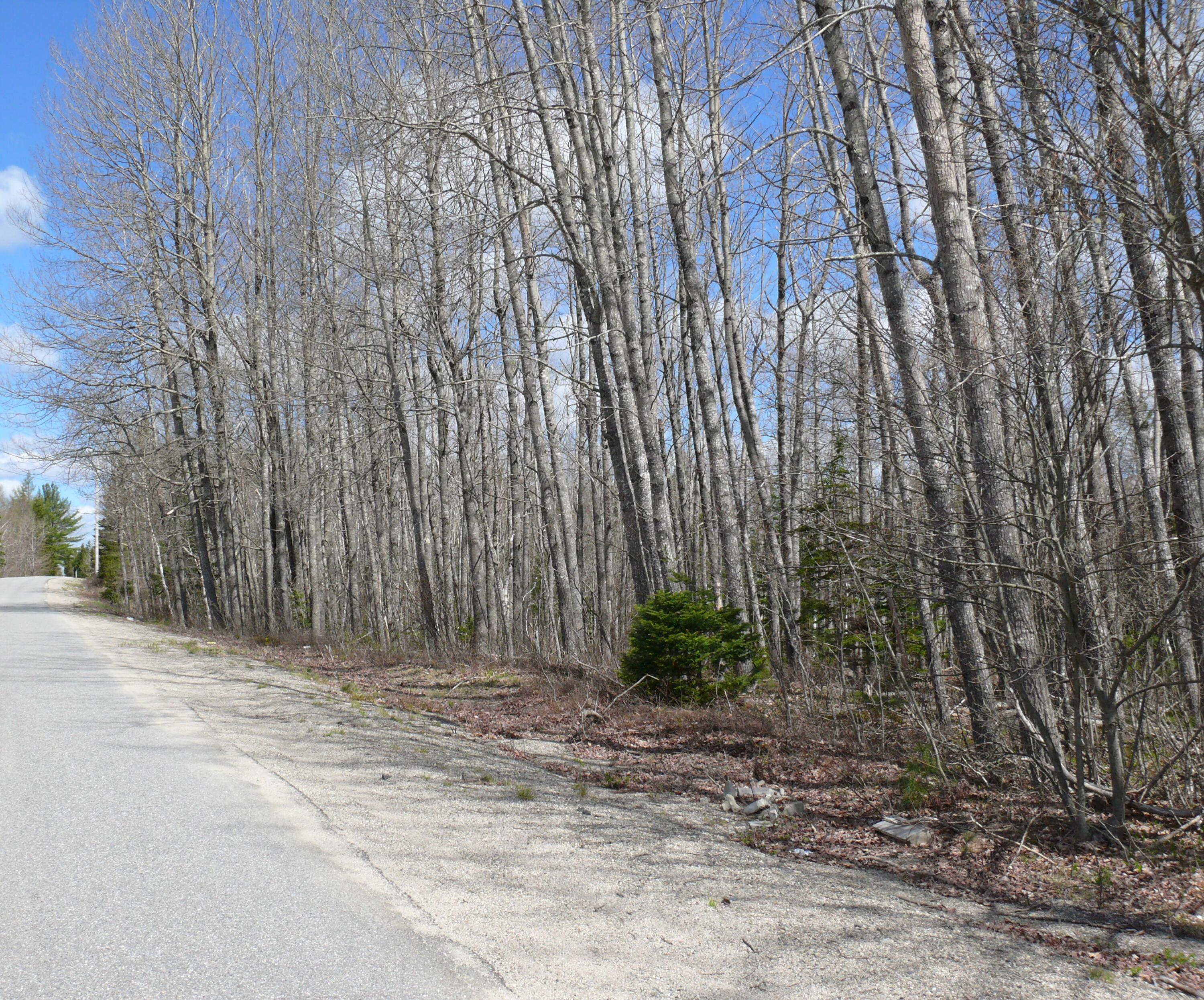 25 Epping Road Columbia Falls, ME 04623 - Photo 15 of 39 P1420387