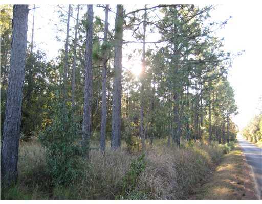 0 Walt Tanner Road Lucedale, MS 39452 - Photo 1 of 8 Primary Photo