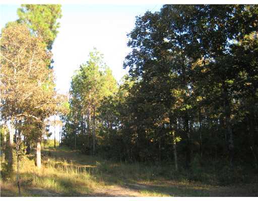 0 Walt Tanner Road Lucedale, MS 39452 - Photo 2 of 8 Additional Photo