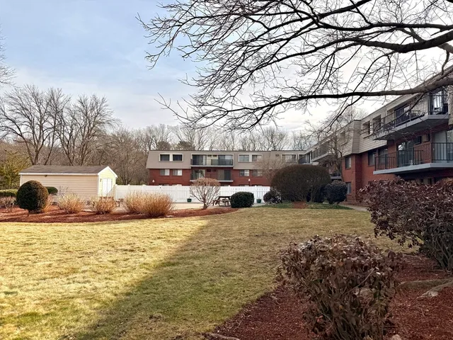 a view of a yard with a large tree