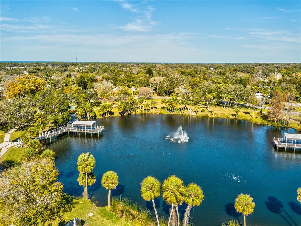 5642 Oak Ridge Avenue New Port Richey, FL 34652 - Photo 40 of 44 an aerial view of residential houses with outdoor space