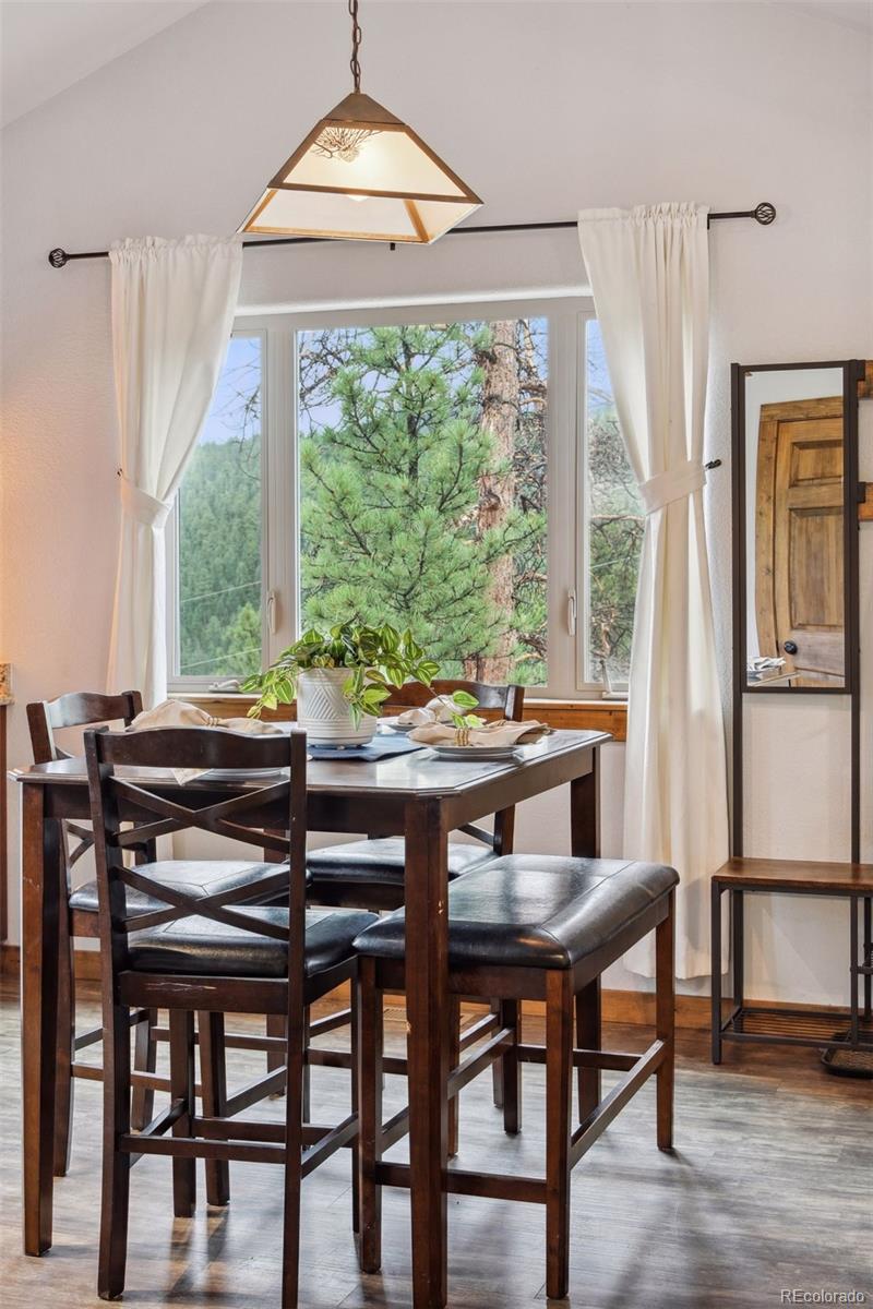 208 Virginia Road Bailey, CO 80421 - Photo 14 of 37 Gallery Image 14