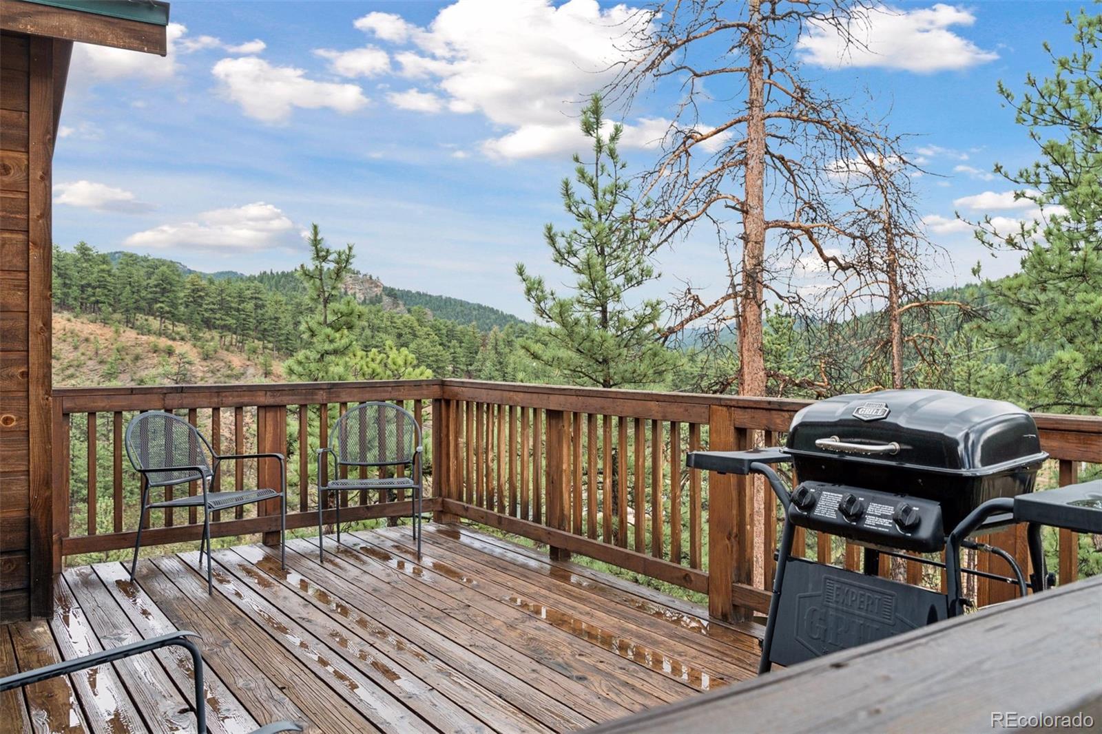 208 Virginia Road Bailey, CO 80421 - Photo 16 of 37 Gallery Image 16